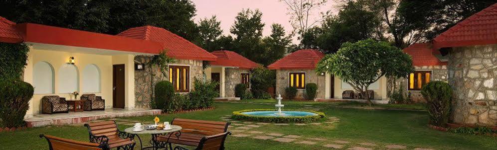 Sariska Tiger Heaven Otel Akbarpur  Dış mekan fotoğraf